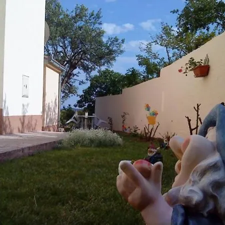 - Andrea Apartment